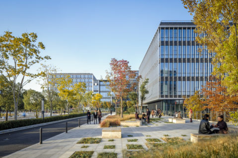 Ennead 1701 Lingang Pujiang IHC 01 Final Ext Photo 0070 medium