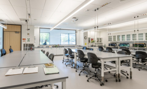 Ennead 1836 Princeton ES SEAS 03 Final Int Photo 0017 medium